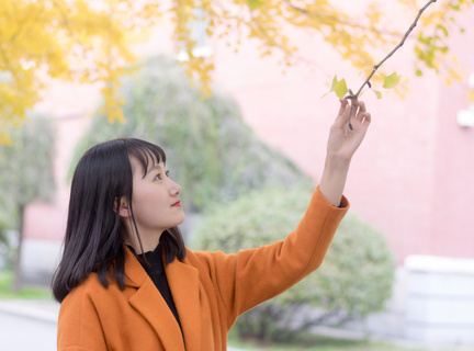 菲律宾理工大学排名一览表